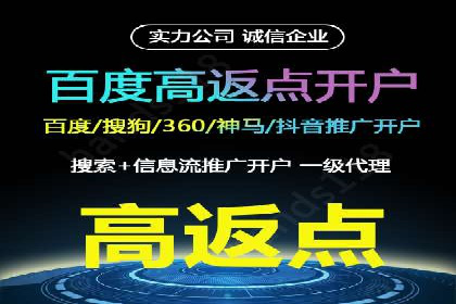 SEM服务公司成功案例解读